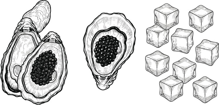Oyster shell with black caviar and ice cubes vector illustration hand drawn seafood luxury food sketch isolated