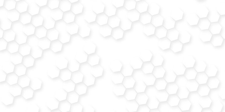 White hexagonal pattern 3d background, Clear pattern abstract background hexagon white, Seamless pattern of repeating white hexagons with subtle shadows creating depth.