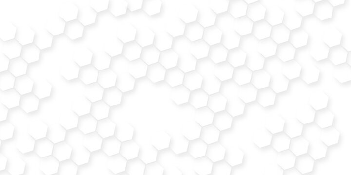 White hexagonal pattern 3d background, Clear pattern abstract background hexagon white, Seamless pattern of repeating white hexagons with subtle shadows creating depth.