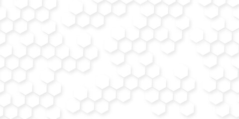 Dark hexagon wallpaper  geometric abstraction with lines and dots, White and light gray hexagon pattern on white background, geometric hexagonal honeycomb polygon science biology background. © MUHAMMAD TALHA