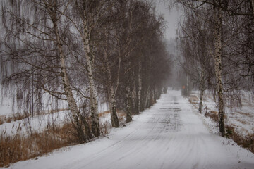 Empty winter road, snow background in the surrounding landscape