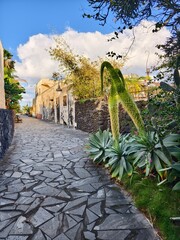 Romantic cobblestone alley between old houses and tropical vegetation in beautiful light, on the island of La Palma