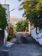 Romantic alley between old houses and tropical vegetation in beautiful light, on the island of La Palma