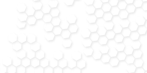 Dark hexagon wallpaper  geometric abstraction with lines and dots, White and light gray hexagon pattern on white background, geometric hexagonal honeycomb polygon science biology background. © MUHAMMAD TALHA