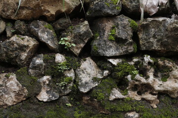 stone wall with moss and stone