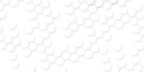Dark hexagon wallpaper  geometric abstraction with lines and dots, White and light gray hexagon pattern on white background, geometric hexagonal honeycomb polygon science biology background. © MUHAMMAD TALHA