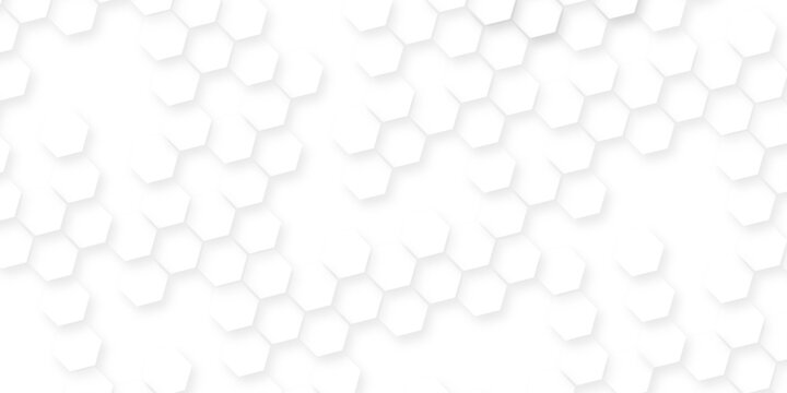 Dark hexagon wallpaper  geometric abstraction with lines and dots, White and light gray hexagon pattern on white background, geometric hexagonal honeycomb polygon science biology background.
