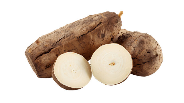 Freshly Harvested Taro Root Sliced Open CloseUp View