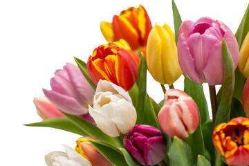 Vibrant Tulips Bouquet of Colorful Flowers for Spring Celebrations