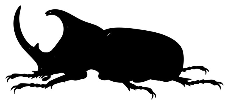 a drawing of a black beetle with big horns, beetle, big, black, bug, drawing, horn, illustration, large, against transparent background