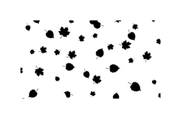 Abstract Black and White Leaf Pattern