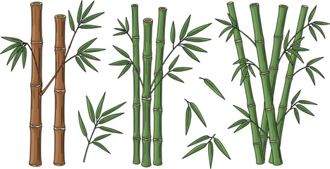 Obraz premium Bamboo plant vector set with green stalks leaves and natural tropical botanical elements isolated illustration