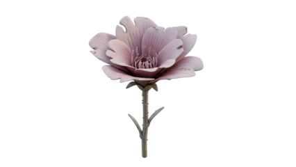 Single pink flower with stem and stem in the middle stem on.