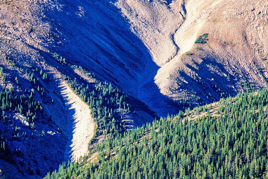 Mountain ravine with moraine scree and a spruce forest