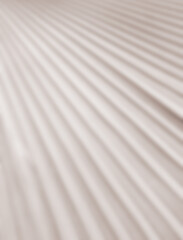 Obraz premium Shadow palm leaf summer background overlay beige color template mockup pastel minimal for presentation product cosmetic aesthetic beauty, poster backdrop artistic marketing, sunshine nature room.