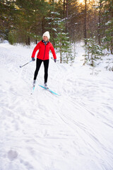 Woman skiing in  winter forest