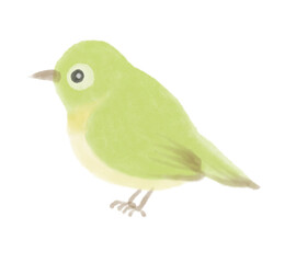 横を向いたメジロの水彩風イラスト