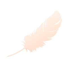 A single soft white bird plume is held by a hand against an isolated black background in this macro nature object shot featuring a light fluffy feather