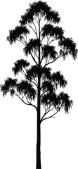 Eucalyptus tree silhouette Vector © alien AZ