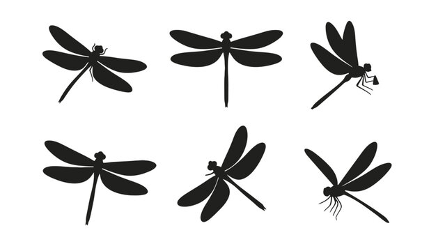 A set of black dragonfly silhouettes on a white background