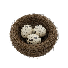Obraz premium Three Speckled Eggs in Nest