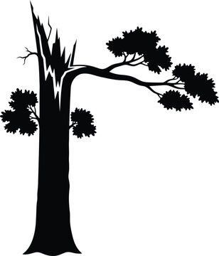 Silhouette of a broken tree Vector