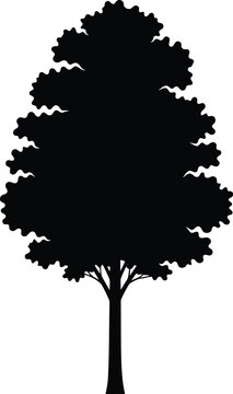 Simple tree silhouette illustration Vector