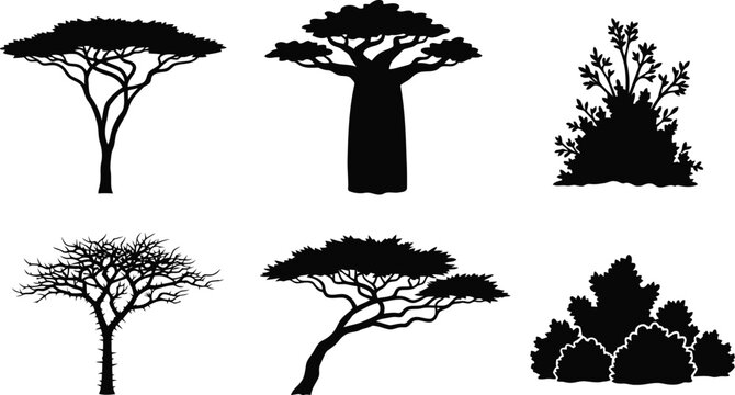 African baobab tree silhouettes collection Vector