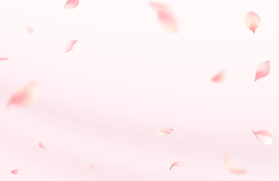 Falling pink cherry blossom petals on soft gradient background with copy space
