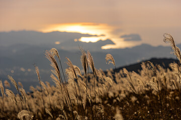 生石高原の夕暮れ