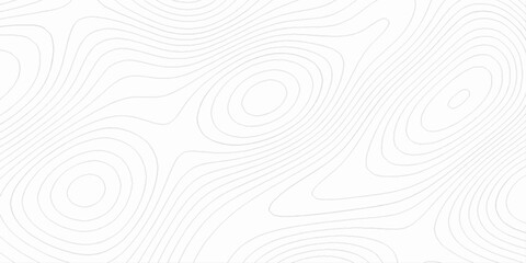 Abstract lines background. contour maps, 3d rendering illustration black and white steel pattern, technology topo landscape grid map discovery area, topographical background linear graphics vector.