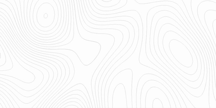 Abstract lines background. contour maps, 3d rendering illustration black and white steel pattern, technology topo landscape grid map discovery area, topographical background linear graphics vector.