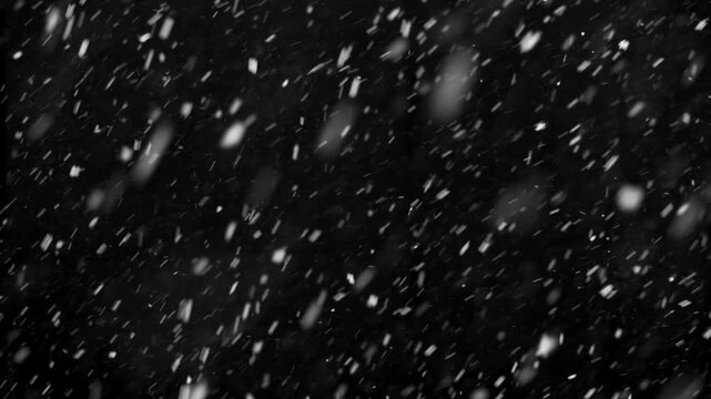 White snow isolated on black background, natural and real, winter nature, using for overlay effect
