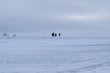 Fototapeta premium SNOW COVERED LANDSCAPE IN WINTER
