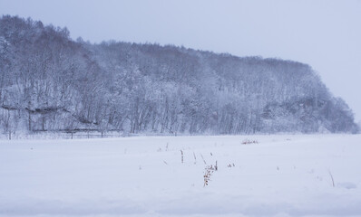SNOW COVERED LANDSCAPE IN WINTER