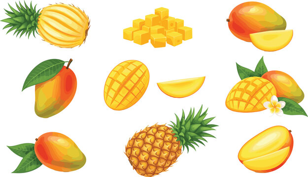 Fresh Tropical Fruit Vector Set Featuring Whole Mangoes, Sliced Pineapple, Cubed Mango Pieces, and Exotic Frangipani Flowers for Healthy Food Branding and Juice Labels