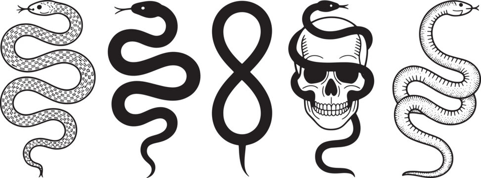 Snake and human skull illustration set featuring serpent variety and gothic tattoo designs