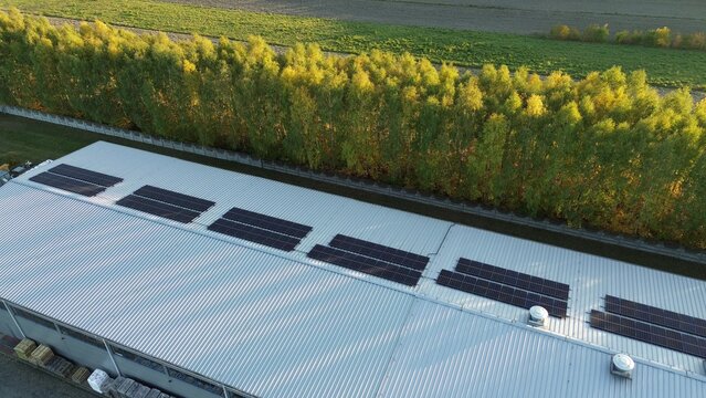 Aerial view of solar panels on industrial roof