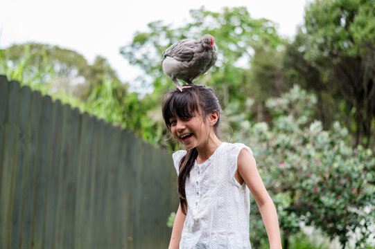 A young girl laughs as a bird balances on her head in a green backyard