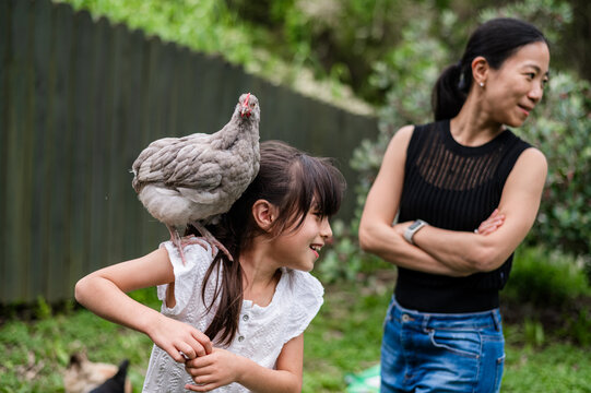 A girl smiles as a chicken perches on her shoulder in a backyard