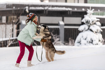 Asian woman is actively playing with a husky dog in the snow.