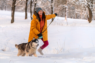 Asian woman walking a husky dog on a leash in a snowy winter