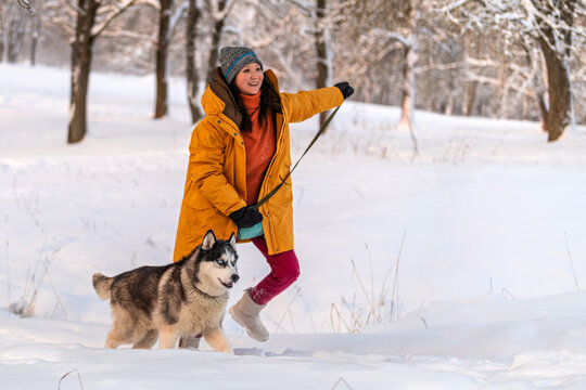 Asian woman walking a husky dog on a leash in a snowy winter
