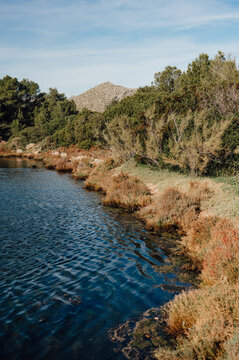 Wetland shoreline and mountain view at La Gola, Port de Pollen&ccedil;a