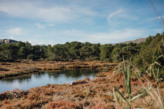 La Gola nature reserve lagoon, Port de Pollen&ccedil;a, Mallorca