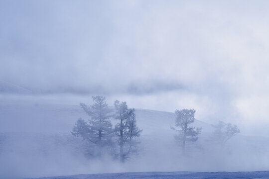 Beautiful sunshine at misty morning on mongolia