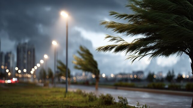 Palm fronds sway violently under a dark stormy sky with streetlights illuminating a blurred urban landscape