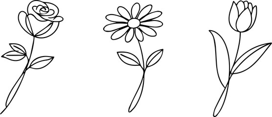 Three different flowers in continuous line art