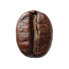 Coffee bean single isolated on transparent background.