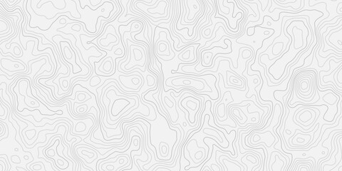 Contour lines illustrating terrain slopes, elevation changes, and flow Abstract topographic map visual with calm modern design language © ALAMA